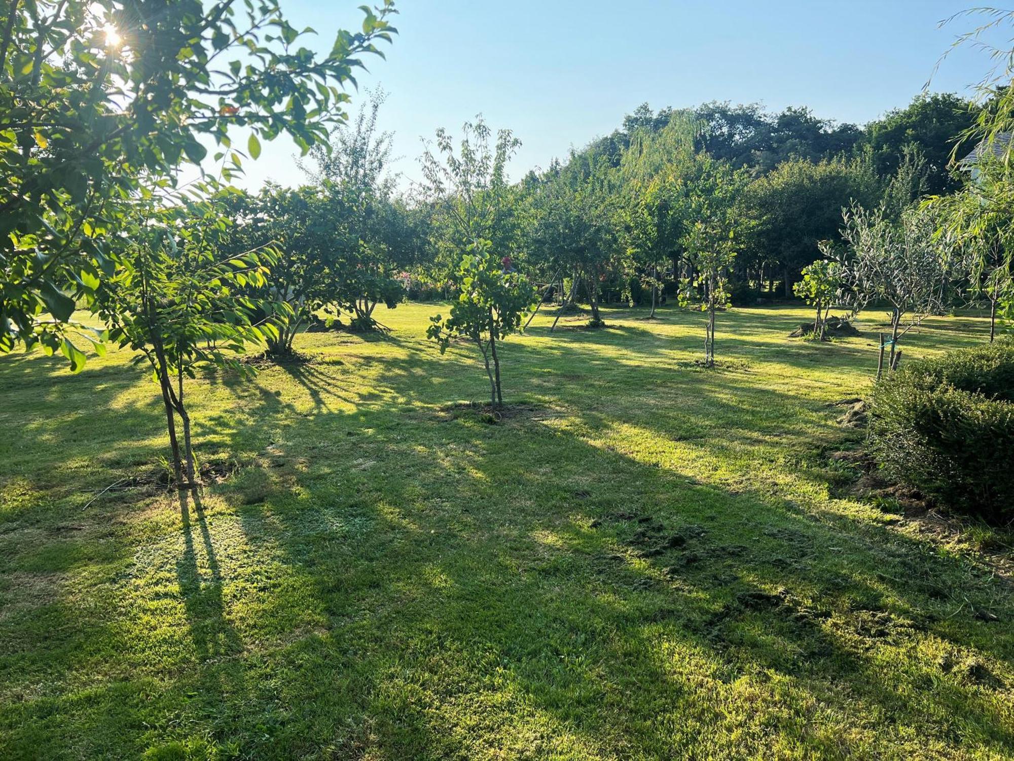 Villa Albaredo Villamea Exterior foto