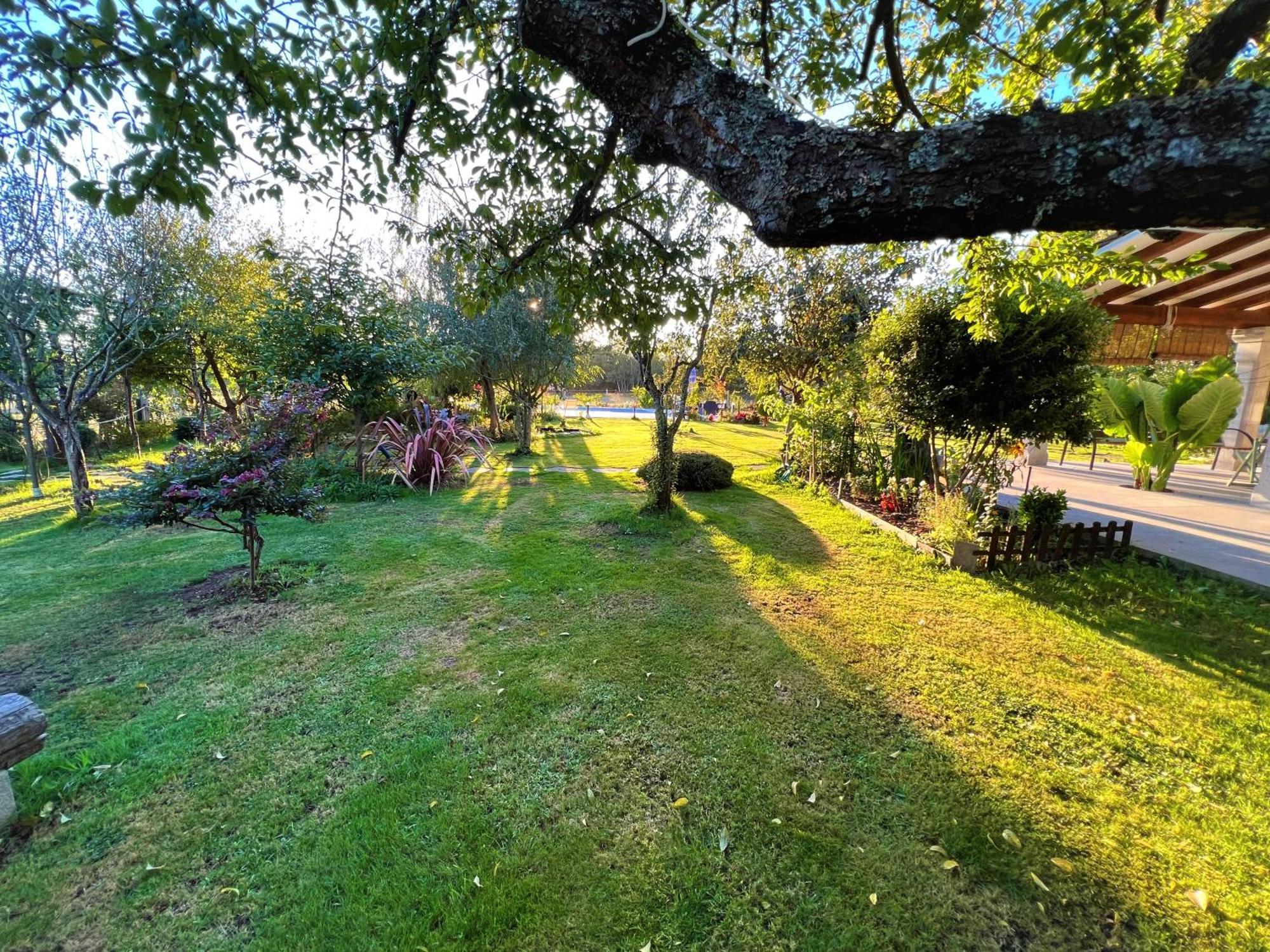Villa Albaredo Villamea Exterior foto